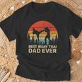 Retro Vintage Best Muay Thai Dad Ever Father's Day T-Shirt Gifts for Old Men