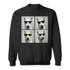 Lustiger Bullterrier Für Hundeliebhaber Niedlicher Bullterrier Sweatshirt