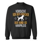 Vorsichtor Dem Frauchen Hundpruch Sweatshirt