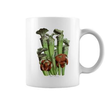 Plantes Carnivoresintagearracenia Botanical Tasse - Cadeauxyz