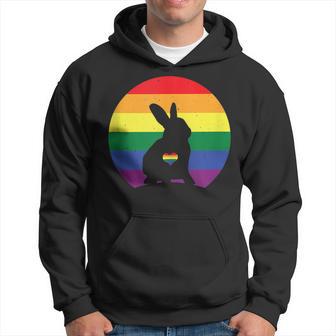 Lgbt Conejo Gay Pride Mes Apoyo Igualdad In Mangas Sudadera - Regaloses