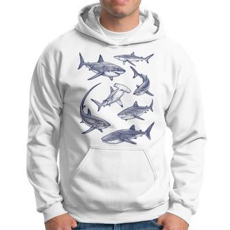 Requinintage Animaux Marins Pour Les Amateurs De Requins Sweat à capuche - Cadeauxyz