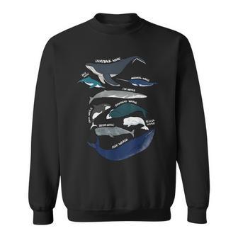 9 Tipos De Camisa De Ballenas Especies De Razas De Ballenas Amante De Las Ballenas Camisa de entrenamiento - Regaloses