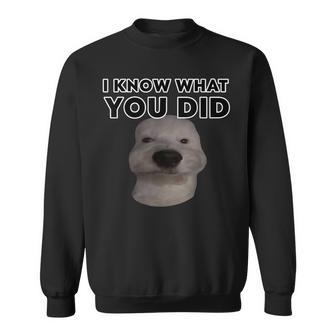 Diseño Divertido De Meme De Perro Con Texto En Inglés I Know What You Did Camisa de entrenamiento - Regaloses