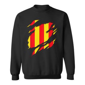 Drapeau Comté De Foix Blason Déchiré À Effet 3D France Sweater e - Cadeauxyz