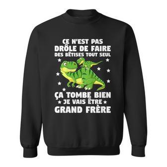 Enfant Ça Tombe Bien Jeais Être Grand Frère Drôle Dinosaure Sweater e - Cadeauxyz