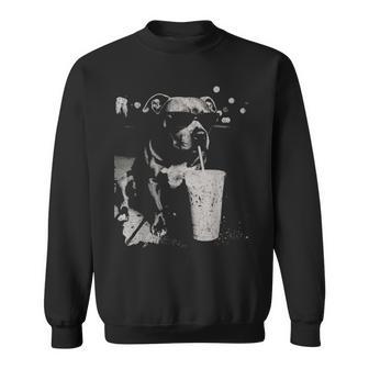Pitbull Sipping Iced Coffee Vintage Dog Lover Sweatshirt | Seseable UK