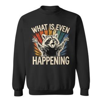 Retro What Is Even Happening Raccoon Meme Sweatshirt | Seseable UK