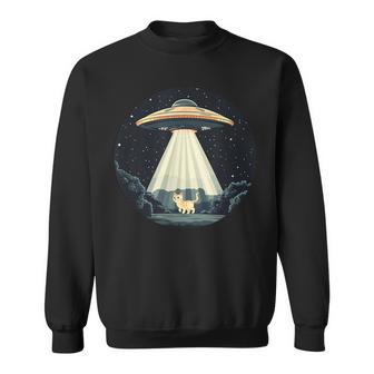 Ufo Drôle Rayonnant Un Chat Pour Les Amateurs D'espace Sweater e - Cadeauxyz