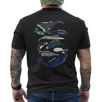 9 Tipos De Camisa De Ballenas Especies De Razas De Ballenas Amante De Las Ballenas Camiseta Hombre Estampado Espalda - Regaloses