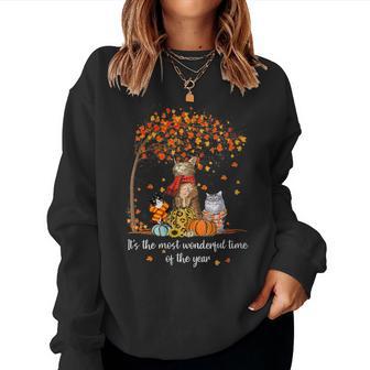 Es La Época Más Maravillosa Del Año Familia Gatos Otoño Cuello Sudadera Mujer - Regaloses