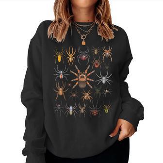 Types Of Spiders Educational Entomology Boys Girls Kids Women Sweatshirt - Thegiftio UK