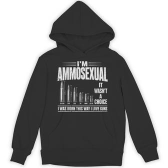 I'm Ammosexual Guns Lover Humor Hoodie - Thegiftio UK