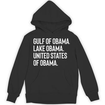 Gulf Of Obama Lake Obama United States Hoodie - Thegiftio UK