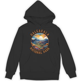 Haleakala National Park Sunset Retro Distressed Circle Hoodie - Thegiftio UK