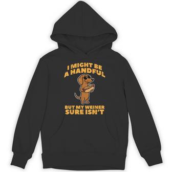 I Might Be Handful But My Wiener Isnt Dog Inappropriate Men Hoodie - Thegiftio UK