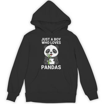 Just A Boy Who Loves Pandas Hoodie - Thegiftio UK