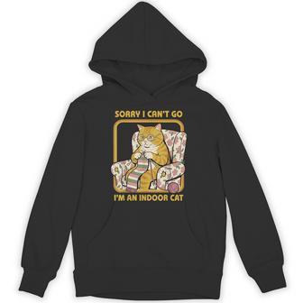 Sorry I Can't Go I'm An Indoor Cat Knitting Hoodie - Thegiftio UK
