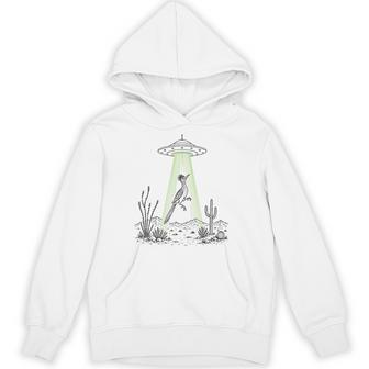 Roadrunner And Ufo Alien Abduction Desert Science Humor Hoodie | Seseable UK