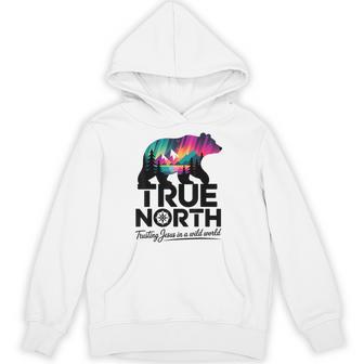 True-North Trusting Jesus In A Wild World Bear Landscape Hoodie - Thegiftio UK