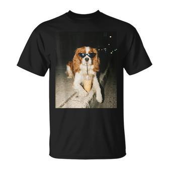 Cavalier King Charles Spaniel Drinking Iced Coffee Dog Lover T-Shirt | Seseable UK