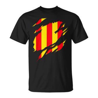 Drapeau Comté De Foix Blason Déchiré À Effet 3D France T-Shirt - Cadeauxyz