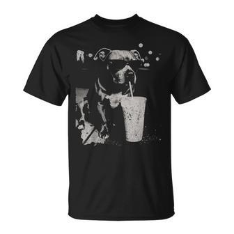 Pitbull Sipping Iced Coffee Vintage Dog Lover T-Shirt | Seseable UK