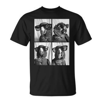 Perroquets Mignons Avec Lunettes Deoleil Cool Birds Animals Photos T-Shirt - Cadeauxyz