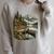 Lakeside Canoe Cabin Escape Scene Raglan Baseball Tee Raglan Sleeve Sweatshirt Heather Forest