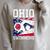 Ohio Flag Swimming Team Swim Swimmer US State Raglan Sleeve Sweatshirt Heather Forest