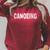 Vintage Canoeing Text Hobby Apparel Raglan Baseball Tee Raglan Sleeve Sweatshirt Heather Dust