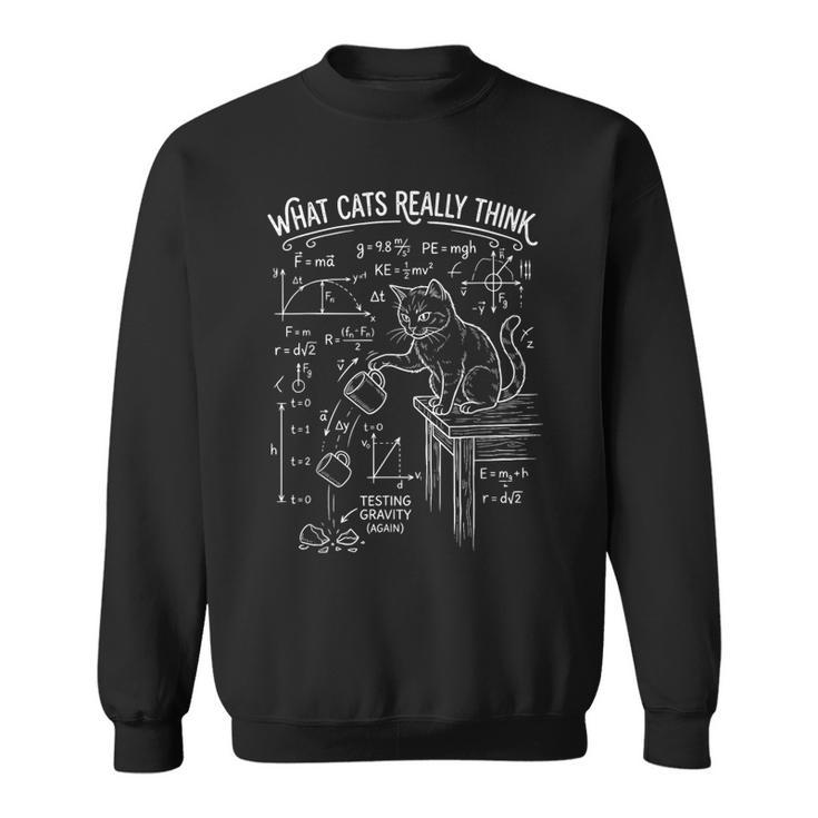 Ce Que Les Chats Pensentraiment D'un Chat Drôle Etarcastique Encience Et En Physique Sweater e